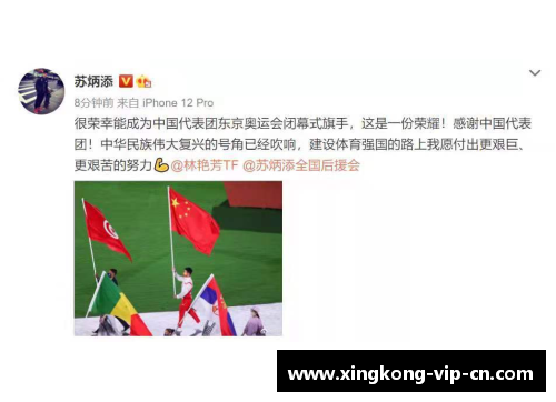 体育明星的卓越表现与个人奋斗历程分析