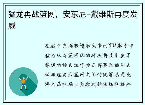 猛龙再战篮网，安东尼-戴维斯再度发威